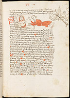 Bibliothèque, Ms 25, © e-codices